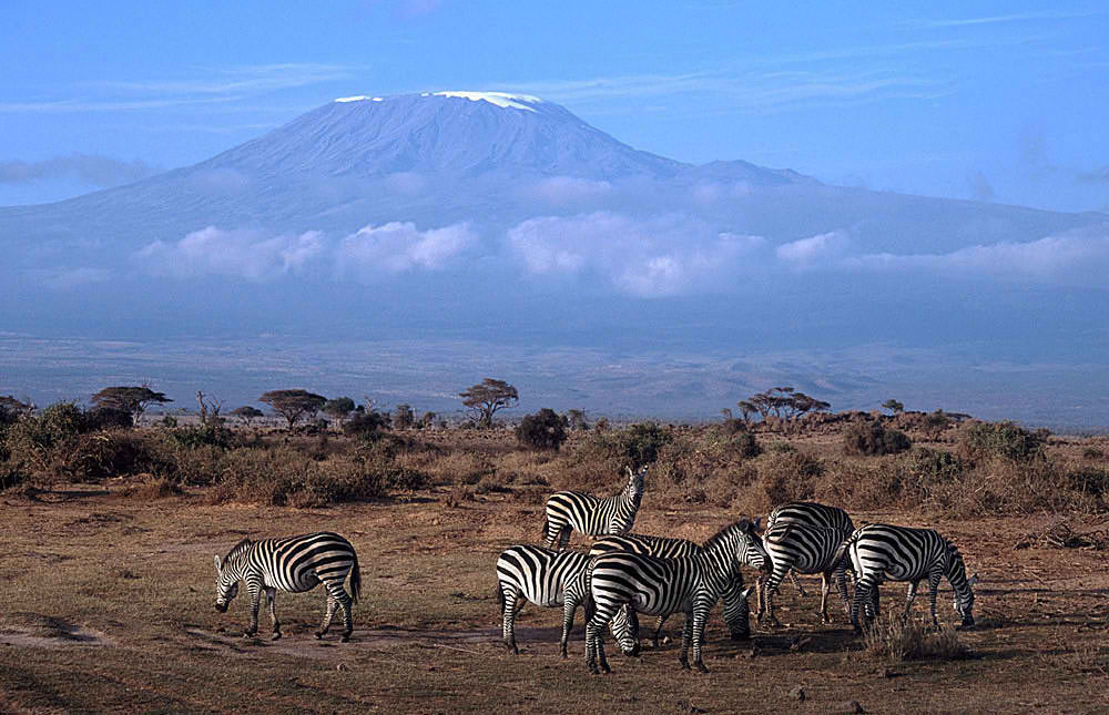 amboseli