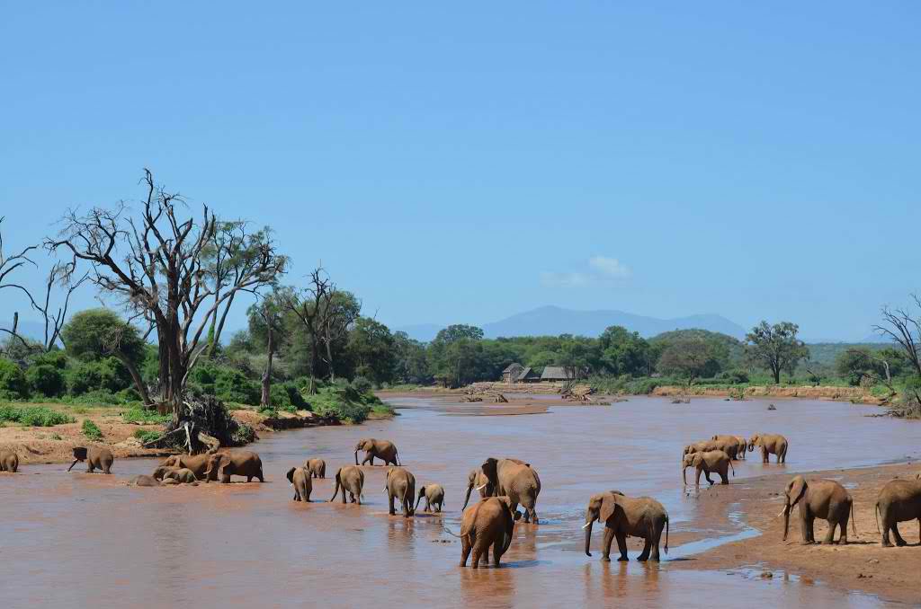 Ewaso Ng'iro river