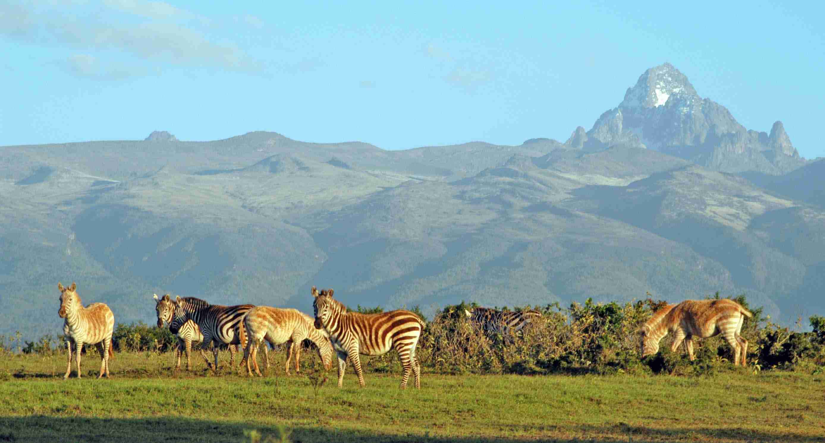 Samburu_National_Reserve