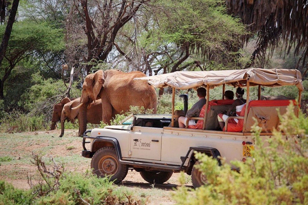 game drives samburu